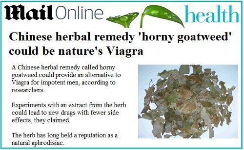 horny goat weed effects