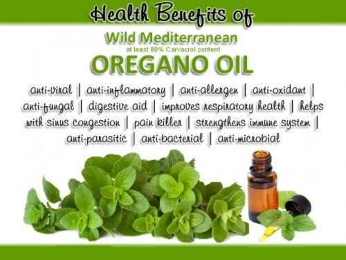 oil of oregano benefits