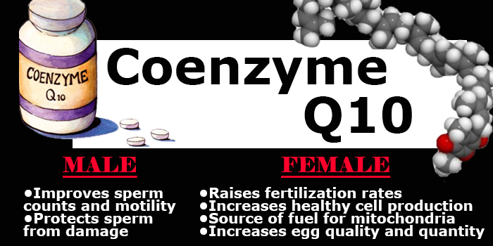 coenzyme q10 fertility