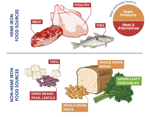 Iron Supplements - Botanicals One