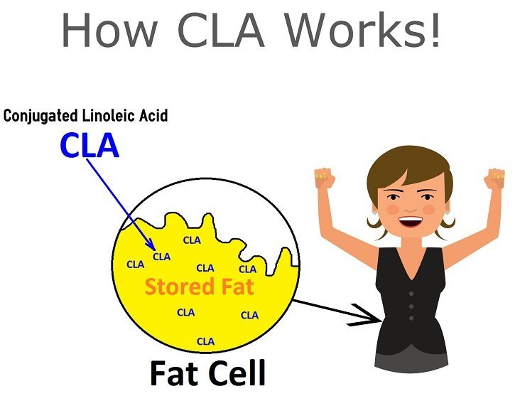 CLA Supplement Botanicals One