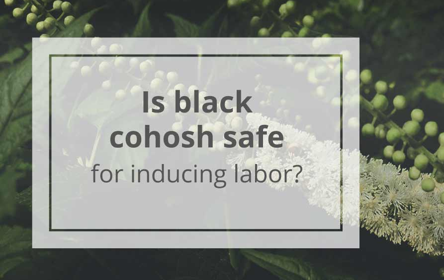 Black Cohosh Benefits Botanicals One