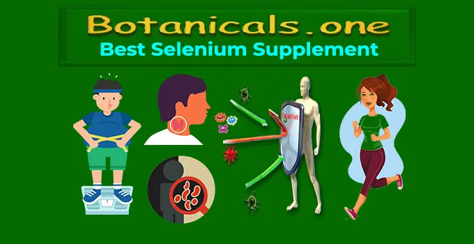 Selenium Antioxidant