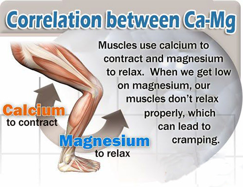 Benefits of Calcium and Magnesium