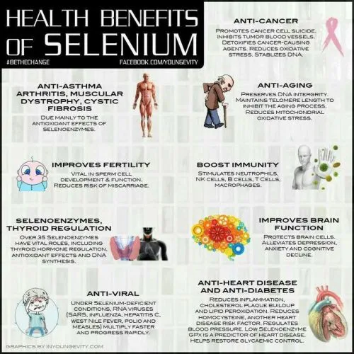 Selenium Health Benefits