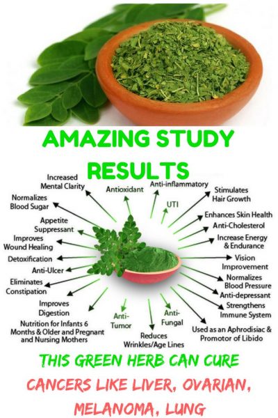 Benefits of Moringa Leaf Powder