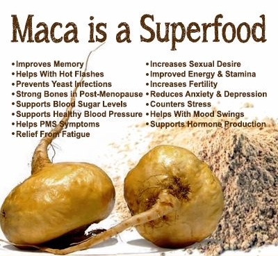 What is Maca