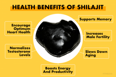 Benefits of Shilajit