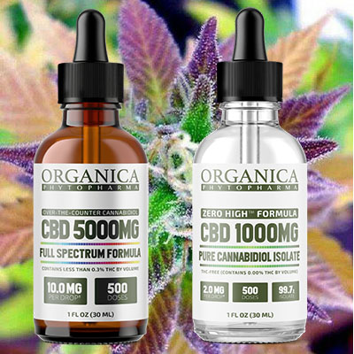 where to buy cbd oil for cancer