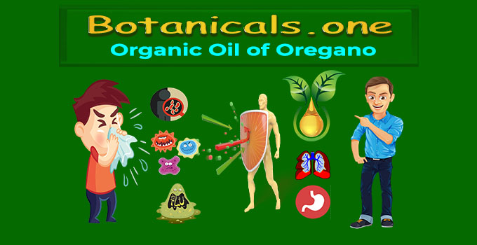 oil of oregano extract