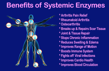 health benefits of systemic enzymes