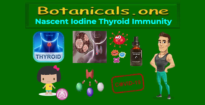 liquid iodine supplement