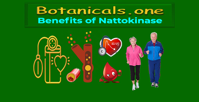 benefits of nattokinase